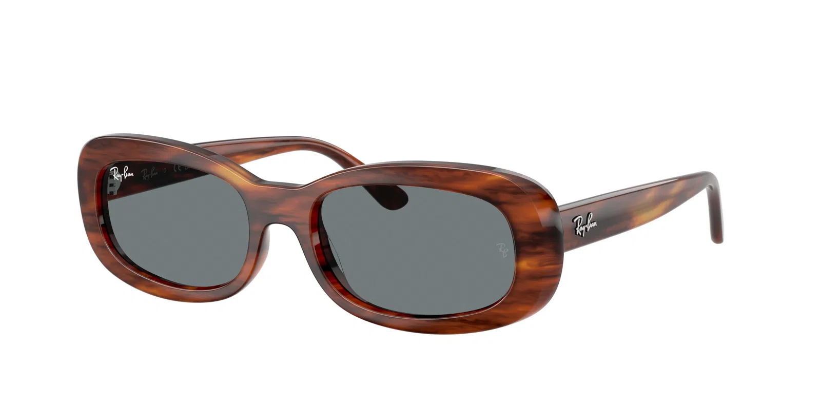 Ray-Ban 2221 Sunglasses - view 4